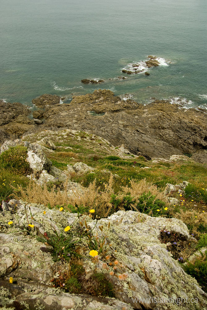 Landscape  photo from  , Bretagne France.