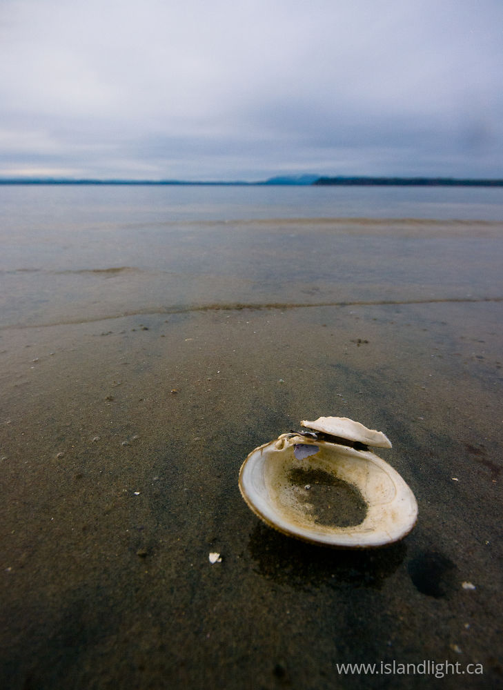 Seascape  photo from  Cortes Island, BC Canada.