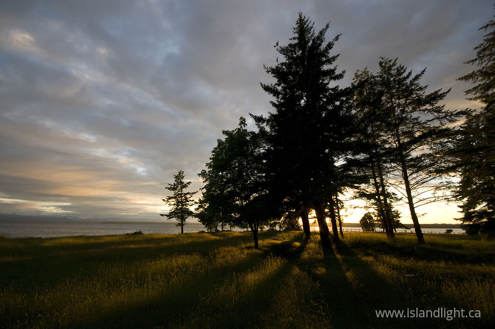 Landscape  photo from  Cortes Island, BC Canada.