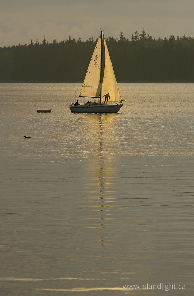 Boating photo from  Cortes Island, BC Canada.