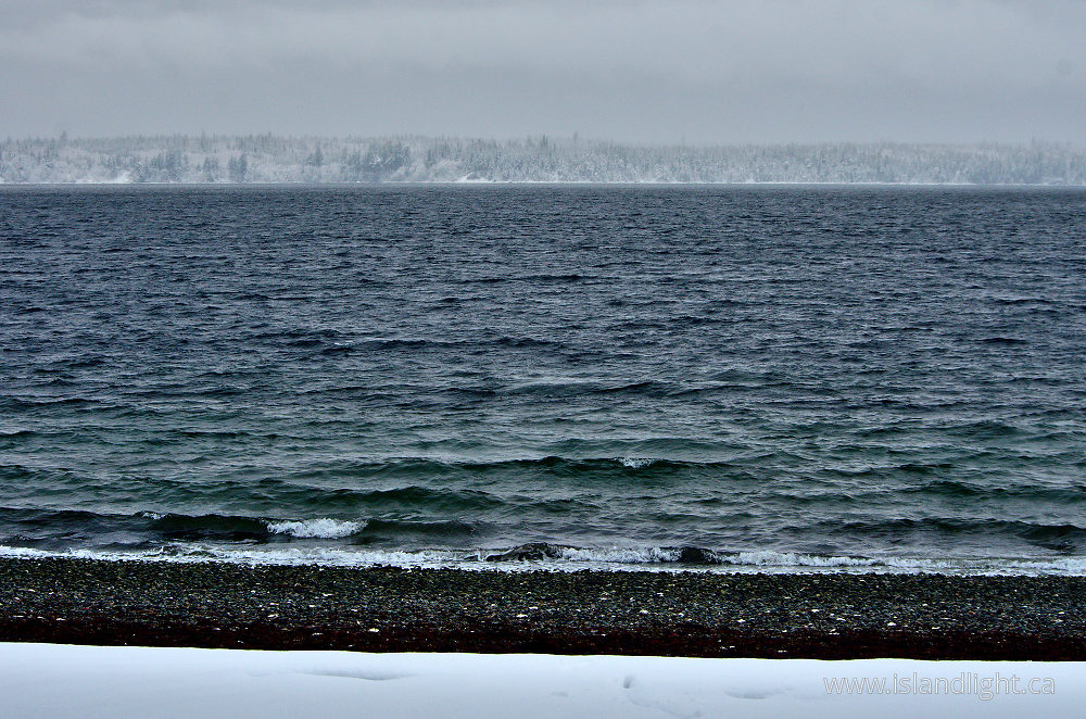 Landscape  photo from  Marina Island, British Columbia Canada.
