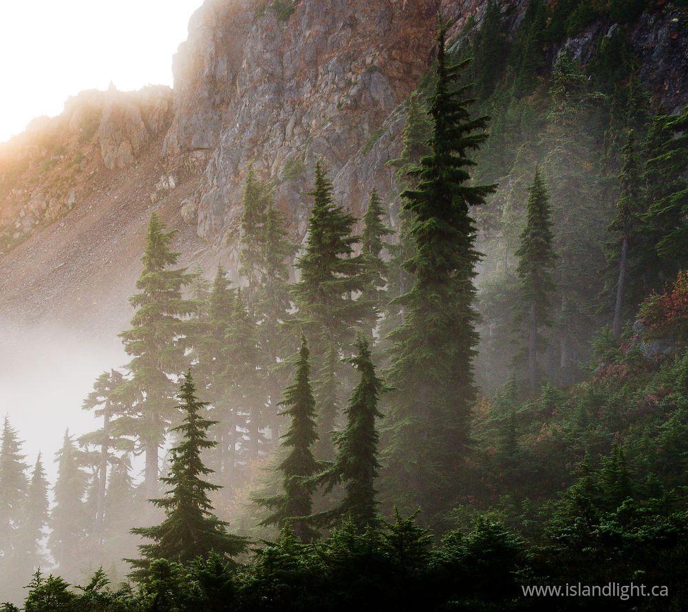 Landscape  photo from  Mount Washington, British Columbia Canada.