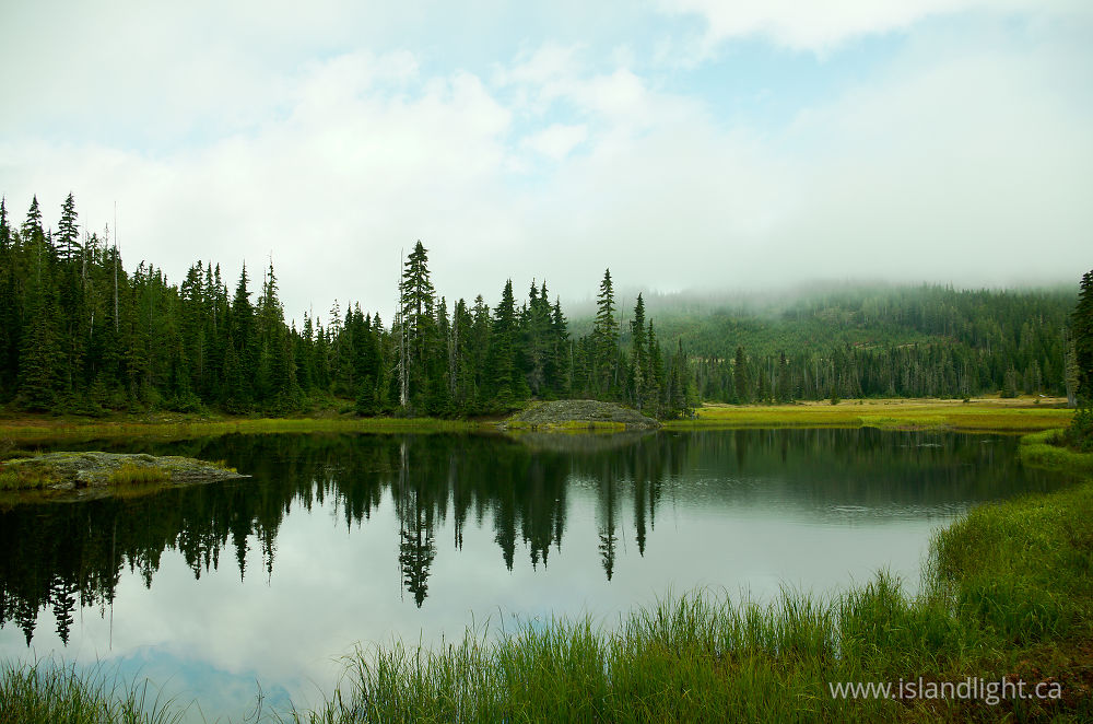 Landscape  photo from  Paradise Meadows, British Columbia Canada.