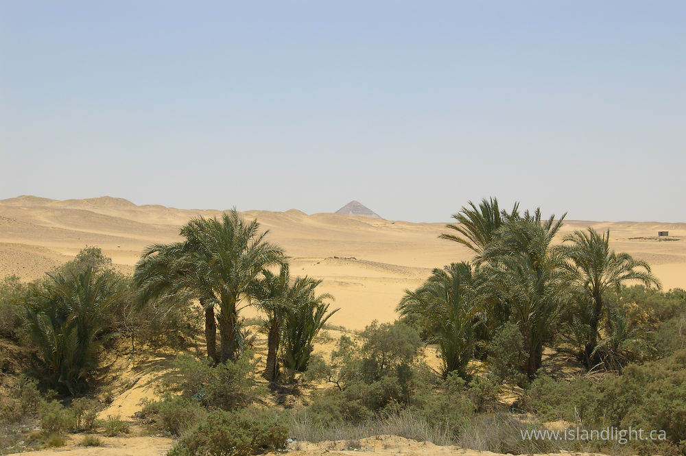 landscape photo from  Saqqara,  Egypt.