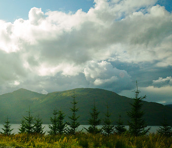 Beside the Loch ~ Landscape  picture from  Scotland.