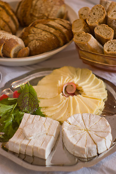 Nourishment ~ Cheese picture from Aillevillers France.