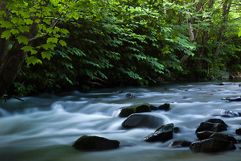 La Auberonne ~ River picture from Aillevillers France.