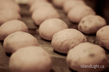 Rising Buns ~ Baking picture from Cortes Island Canada.