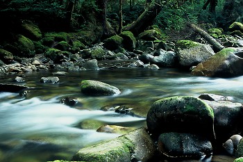 Ahta River ~ Wilderness picture from Bond Sound Canada.
