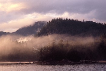 Morning Mist ~ Wilderness picture from Broughton Archipelago Canada.