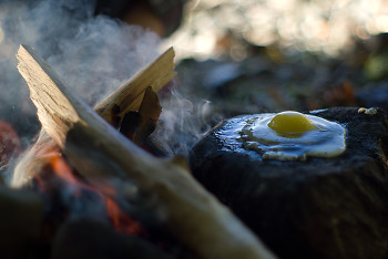 Advanced Egg Cooking Techniques ~ Primatinve Living picture from Cortes Island Canada.
