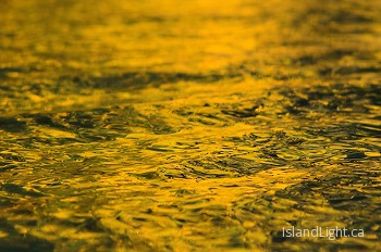  Reflection picture from Cortes Island Canada.