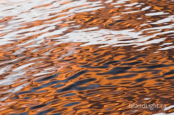  Reflection picture from Cortes Island Canada.
