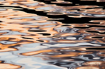  Reflection picture from Cortes Island Canada.
