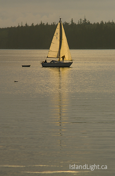  Sailing picture from Cortes Island Canada.