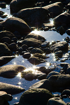  Seashore picture from Cortes Island Canada.