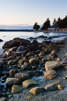 Seashore ~ Seashore picture from Cortes Island Canada.