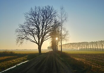 Morning in the dutch countryside ~ Landscape  picture from Den Ham Netherlands.