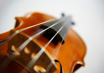 Violin ~ Fiddle picture from Mansons Landing Canada.