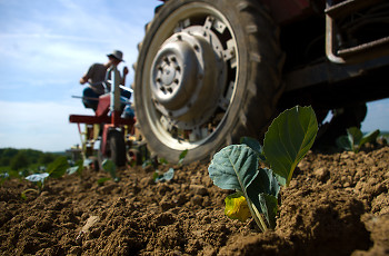 Wheel ~ Tractor picture from France France.