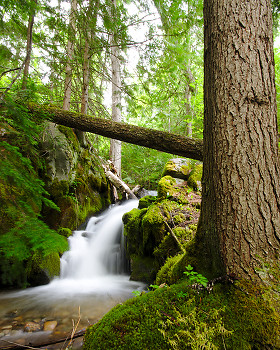 Climax Creek Waterfall ~ Waterfall picture from Slocan Valley Canada.