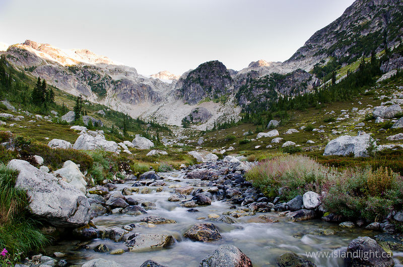   Alpine creek photo