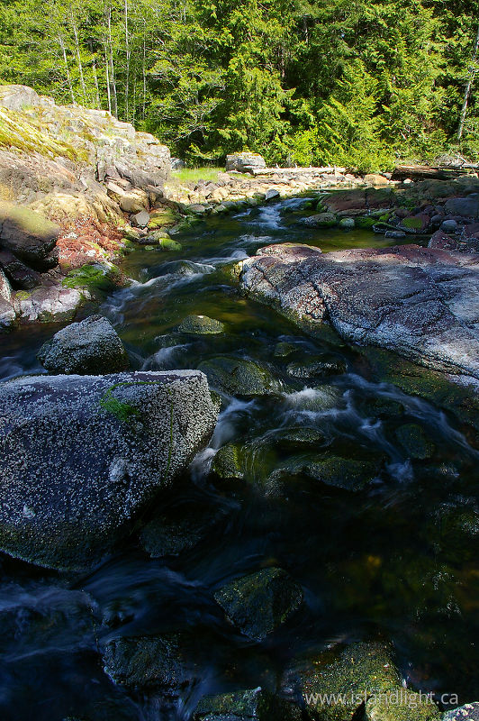   Creek photo