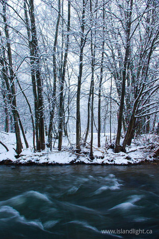   River photo