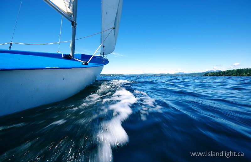   sailing photo