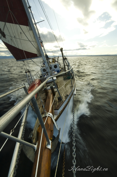   Sailing photo