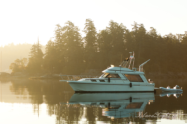   power boat photo