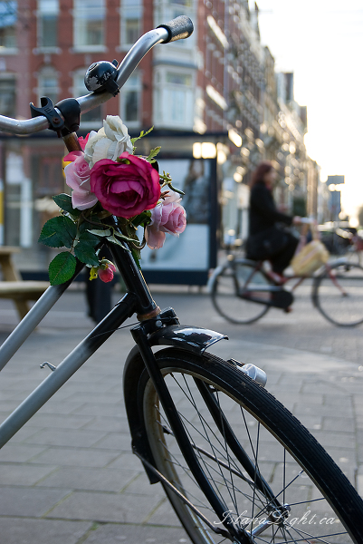 Cityscape photo from  Amsterdam,  Netherlands.