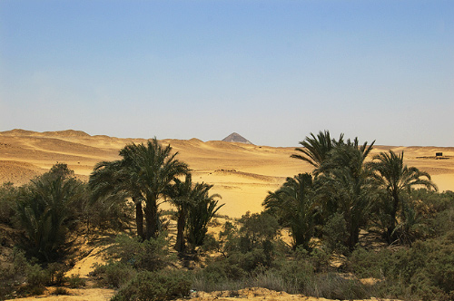 landscape picture from  Saqqara,  Egypt.