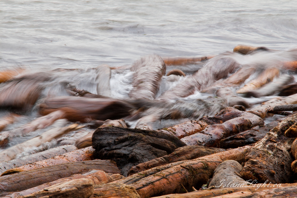 Other  photo from  Cortes Island, BC Canada.
