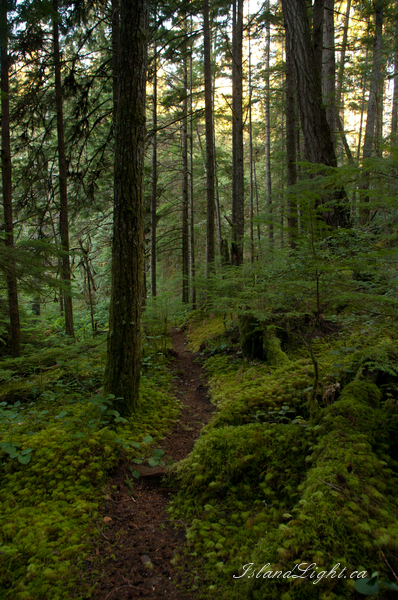 Landscape photo from  Cortes Island, BC Canada.