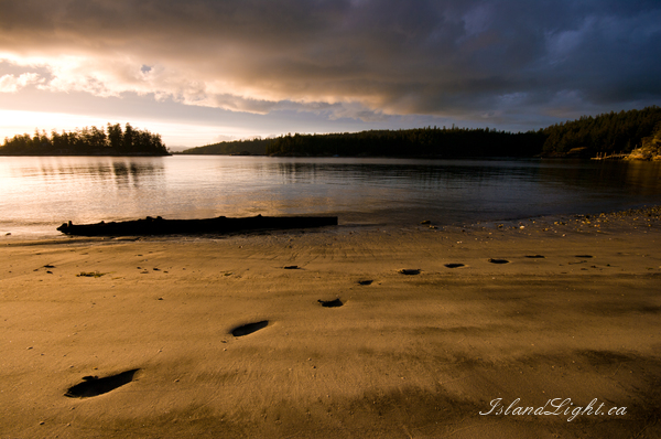 Landscape  photo from Mansons Landing Cortes Island, BC Canada.