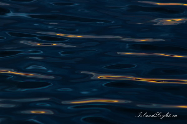   Reflection photo