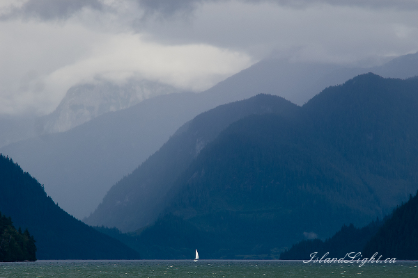 Inlet Sailing -  Sailing photo