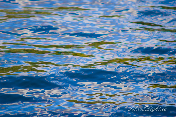   Reflection photo