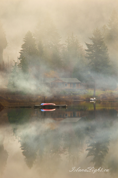 Misty Morning -   photo