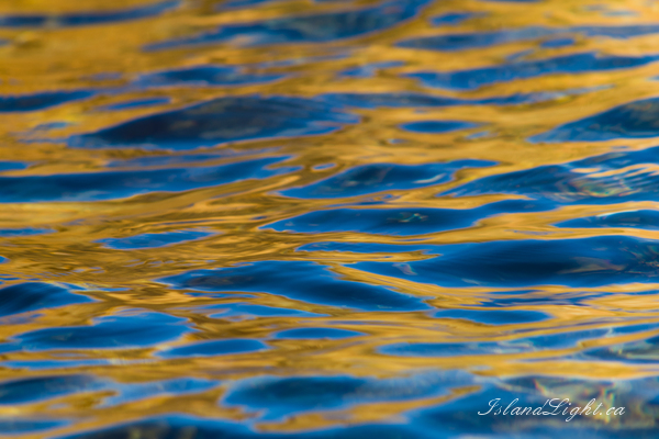   Reflection photo