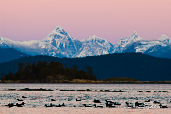   Mountain photo