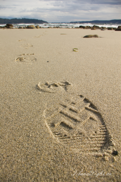   Beach photo