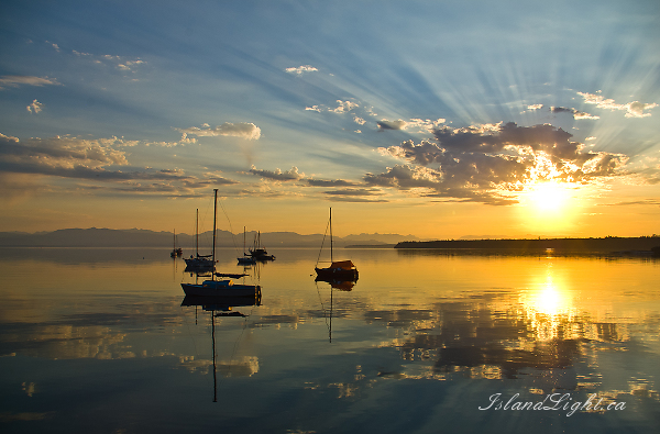   Moored Sailboat photo