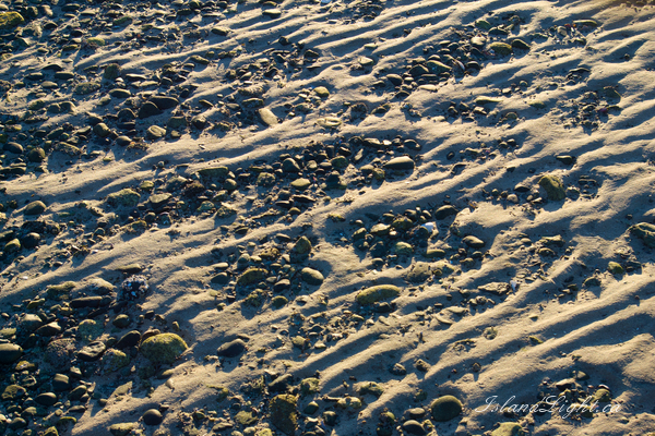   beach photo