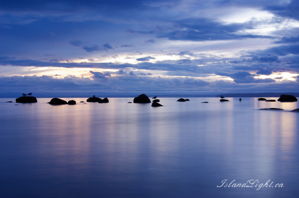 High Tide ~ Seascape  Photo from Cortes Island Canada. (Click to view options.)