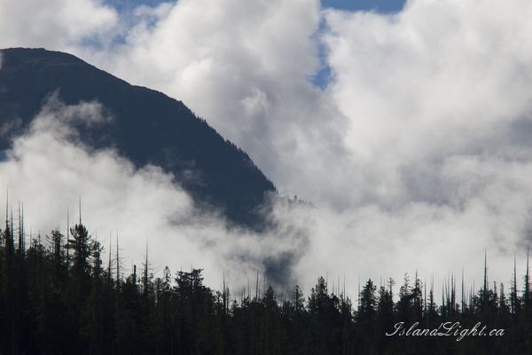 Landscape photo from  Mainland, BC Canada.