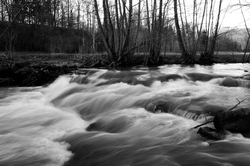 La Auberonne in Black and White -  River photo