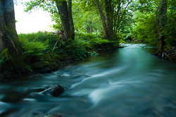   River photo