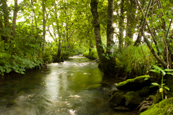   river photo